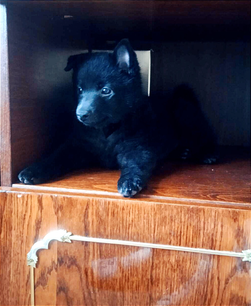 Джи (G): "А почему бы здесь не поспать😁"