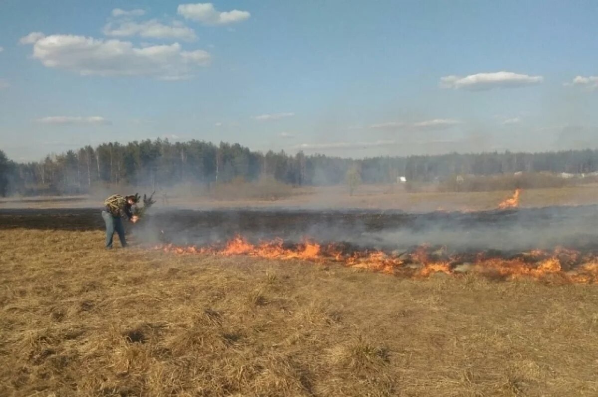    Аэропорт в Чите приостановил работу из-за ландшафтного пожара