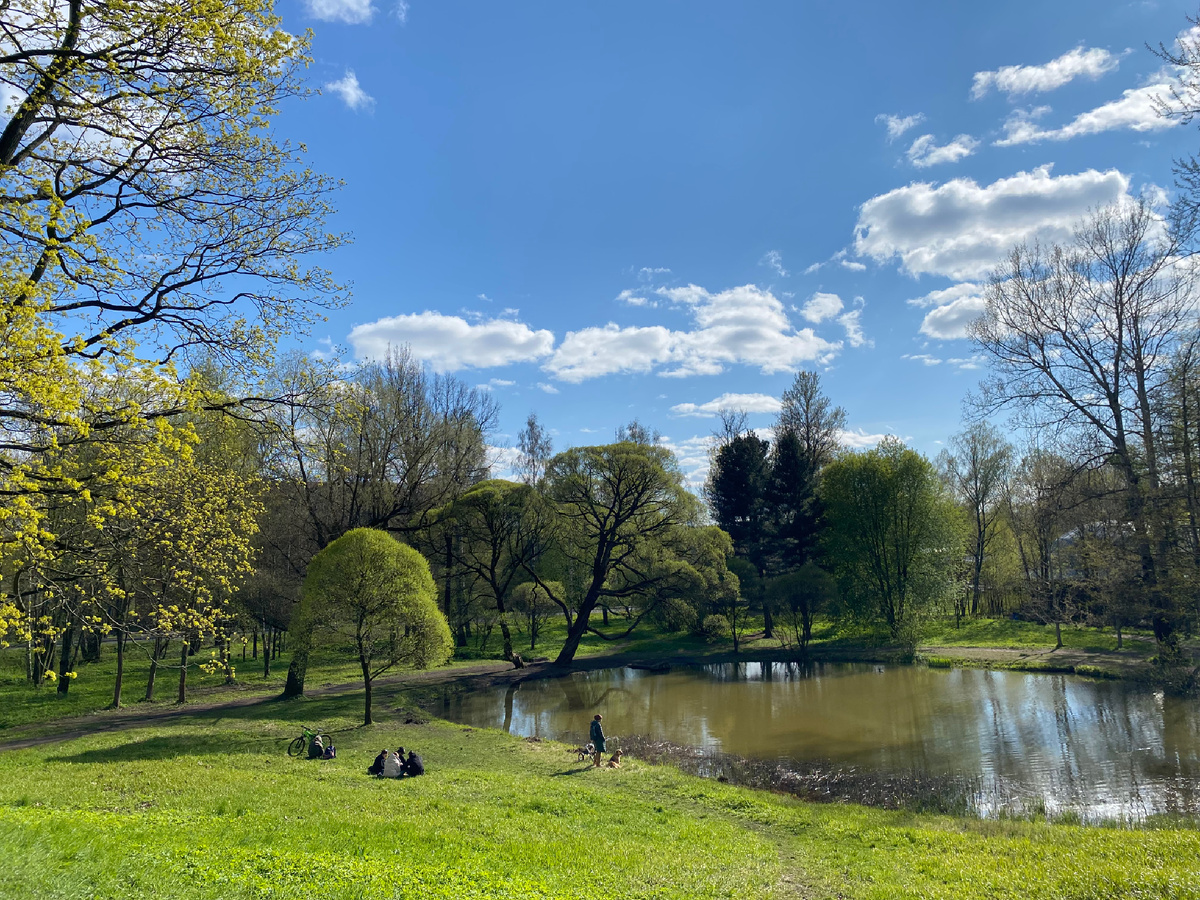 Пейзажная фотография из парка Лесотехнической академии