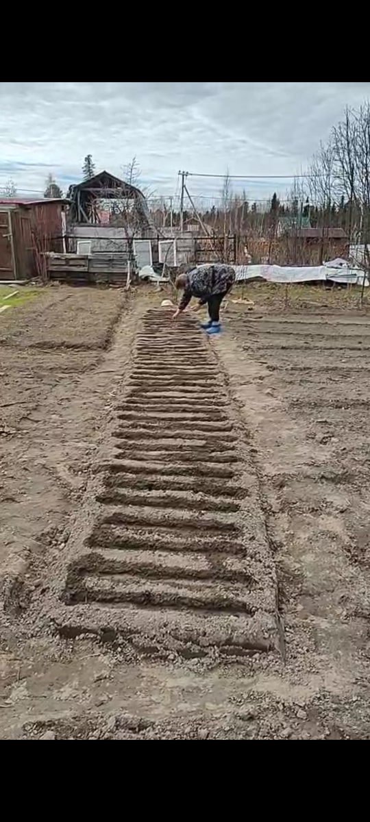 Маленькая грядочку.