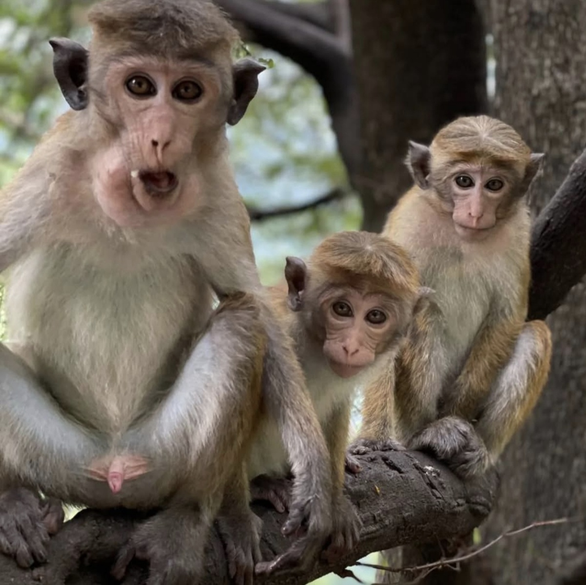 Те самые беспредельщики 