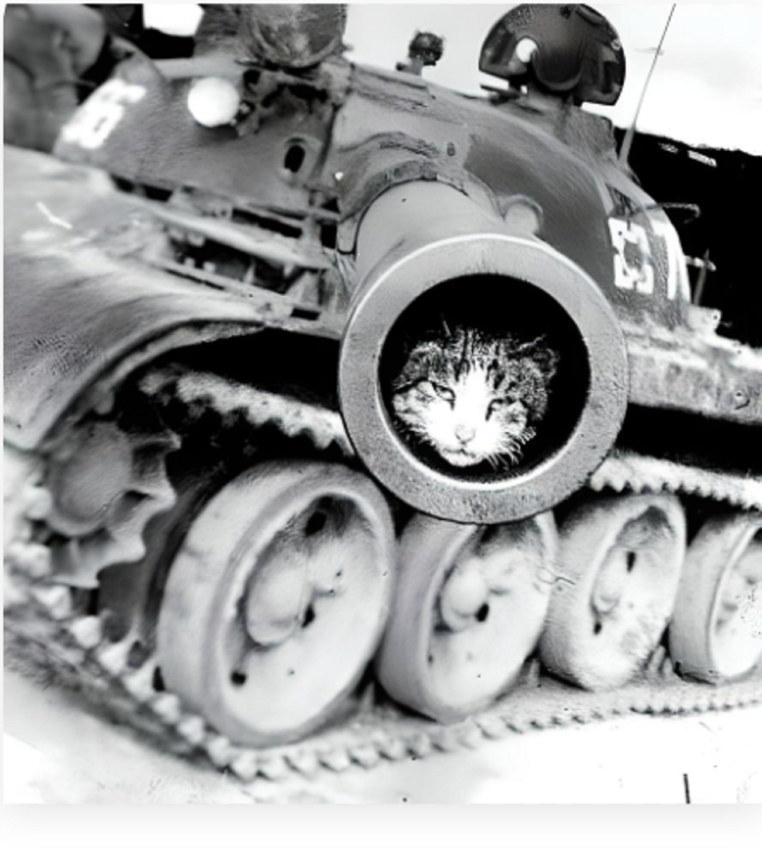 Сняли чехол со ствола орудия..а там кто? А там кот....  Александр Бакута. Автор