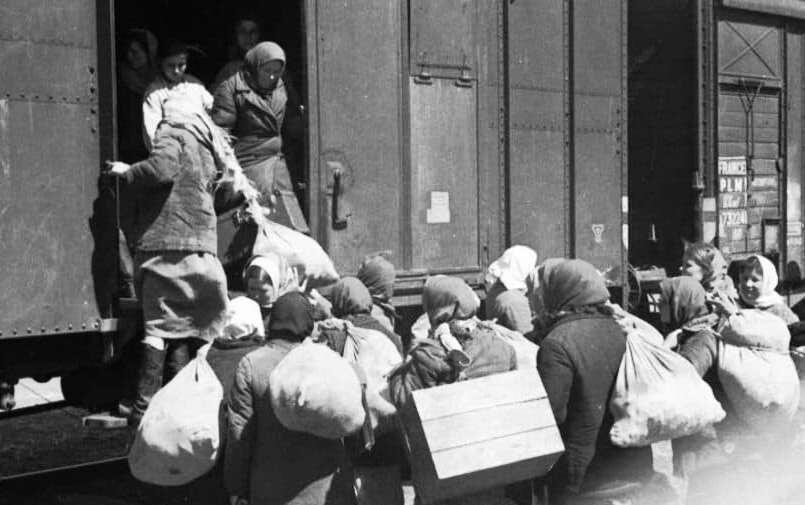 Эвакуация мирных жителей в годы Великой Отечественной войны. Фото: vgudok.com