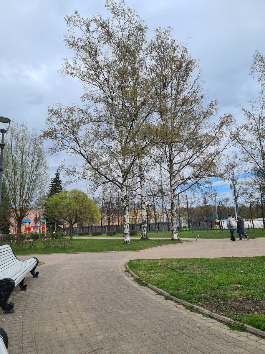 Фото из личного архива автора 