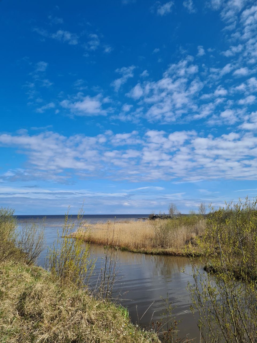 Фото из личного архива автора.