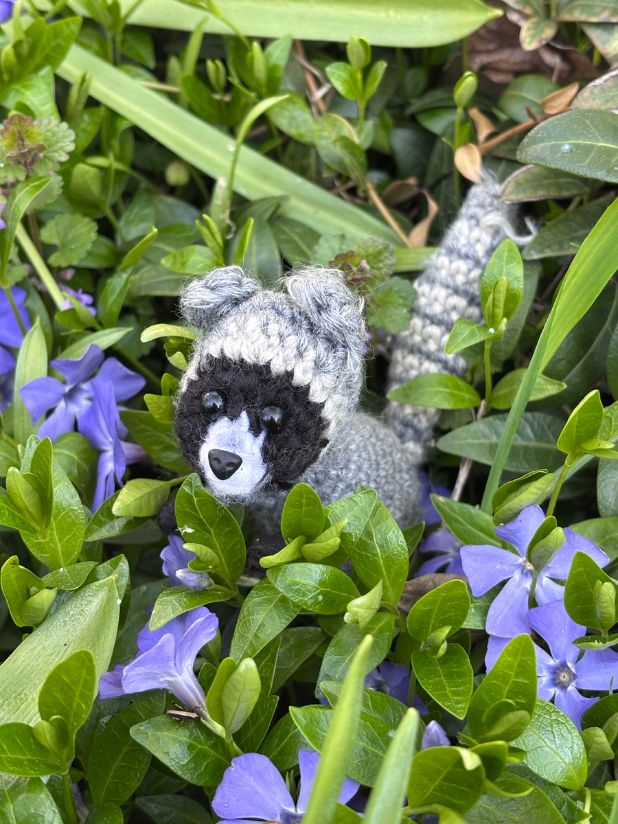 Все побывали в барвинке 😀