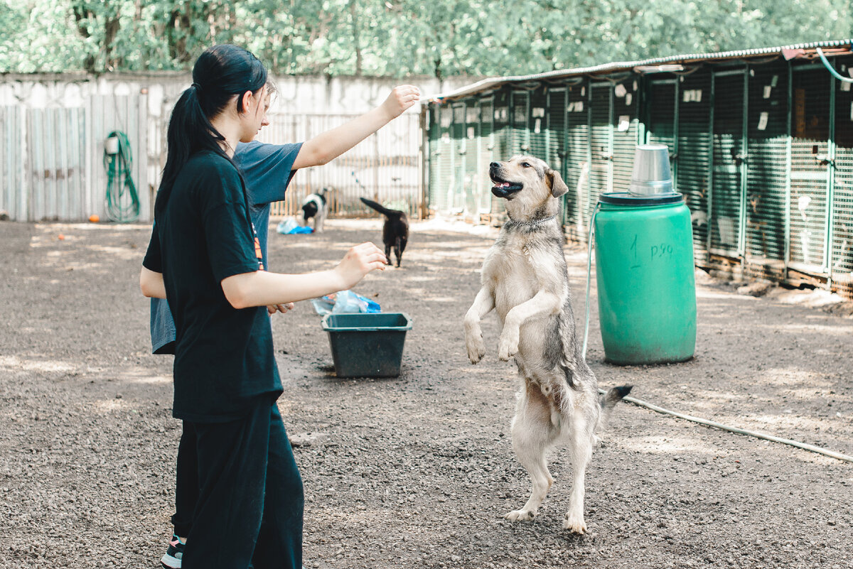 Даже на своих двоих умею ходить