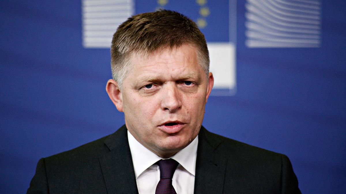    Фото: vm.ru Оливия Ильинская