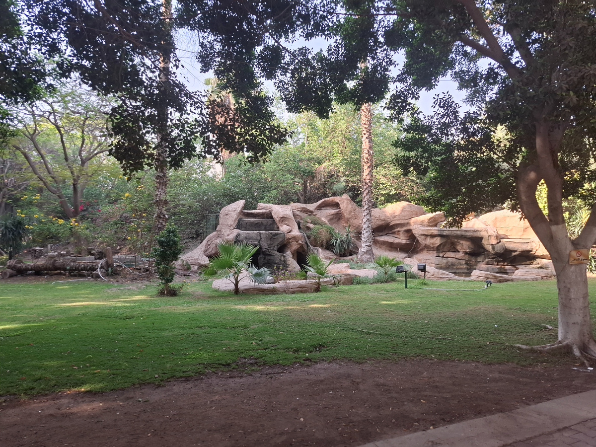 Май в Каире