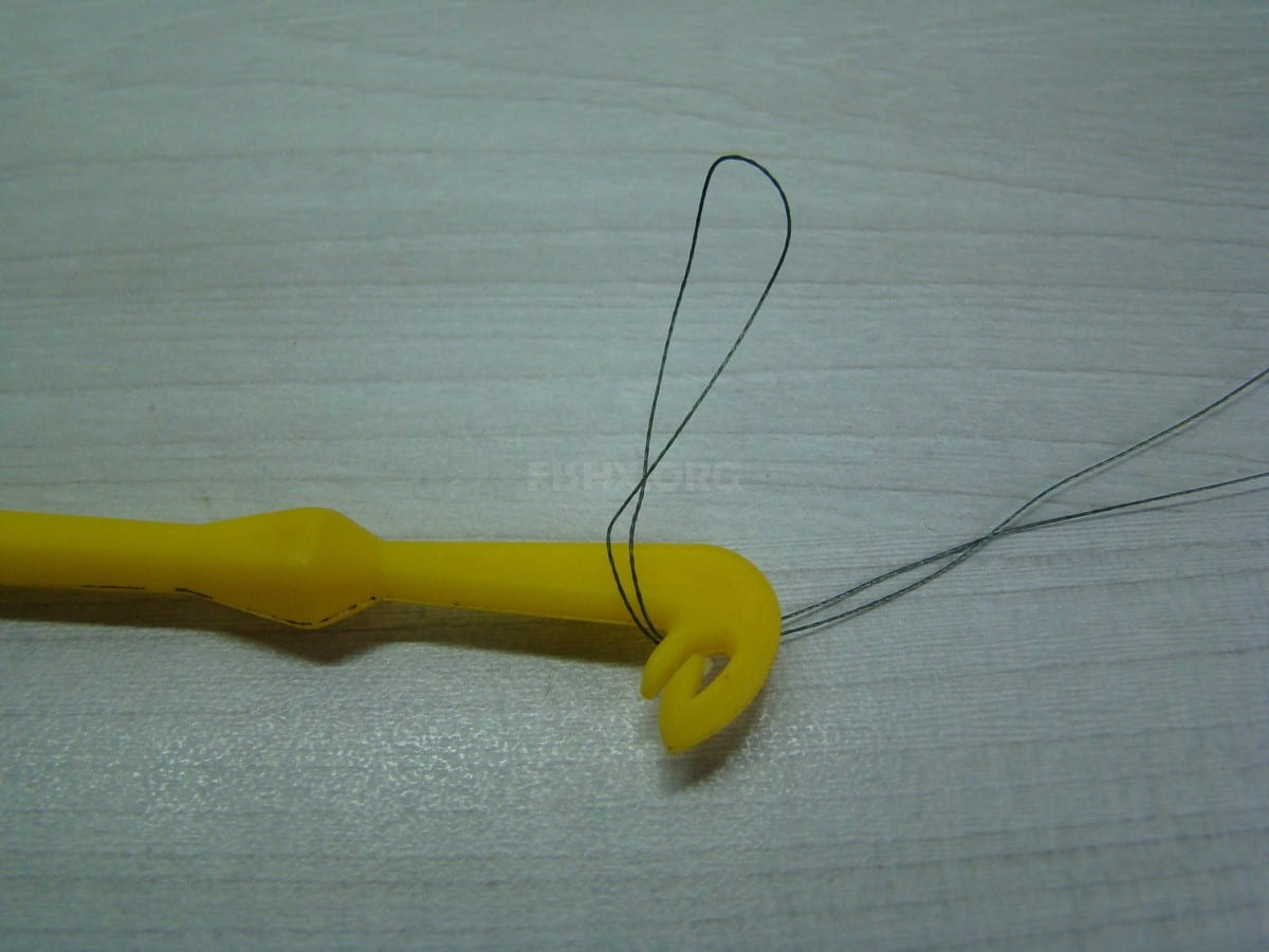 Фото с сайта: https://fishx.org/wp-content/uploads/3_d2ffa612044163c4f1992409720d03fa.jpg