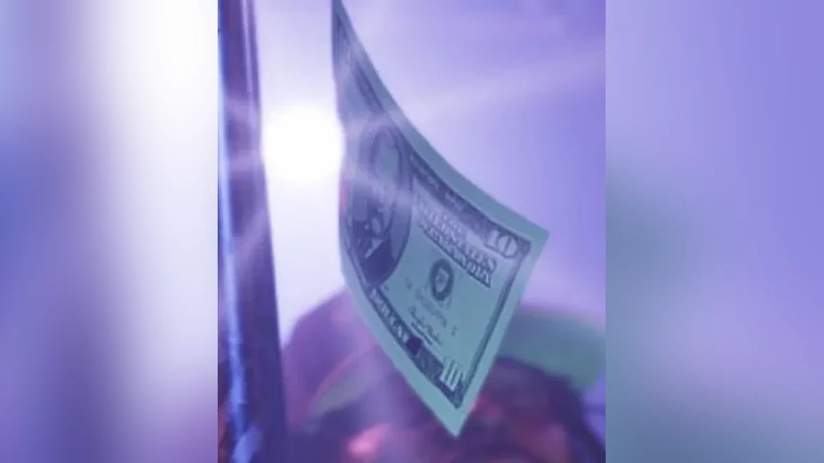 Купюра из второго трейлера GTA VI