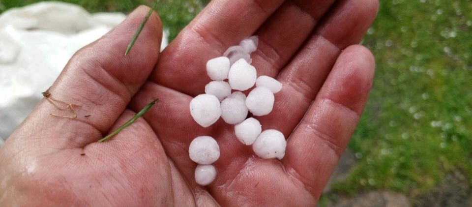    Майский град. Источник: t.me/brn22official