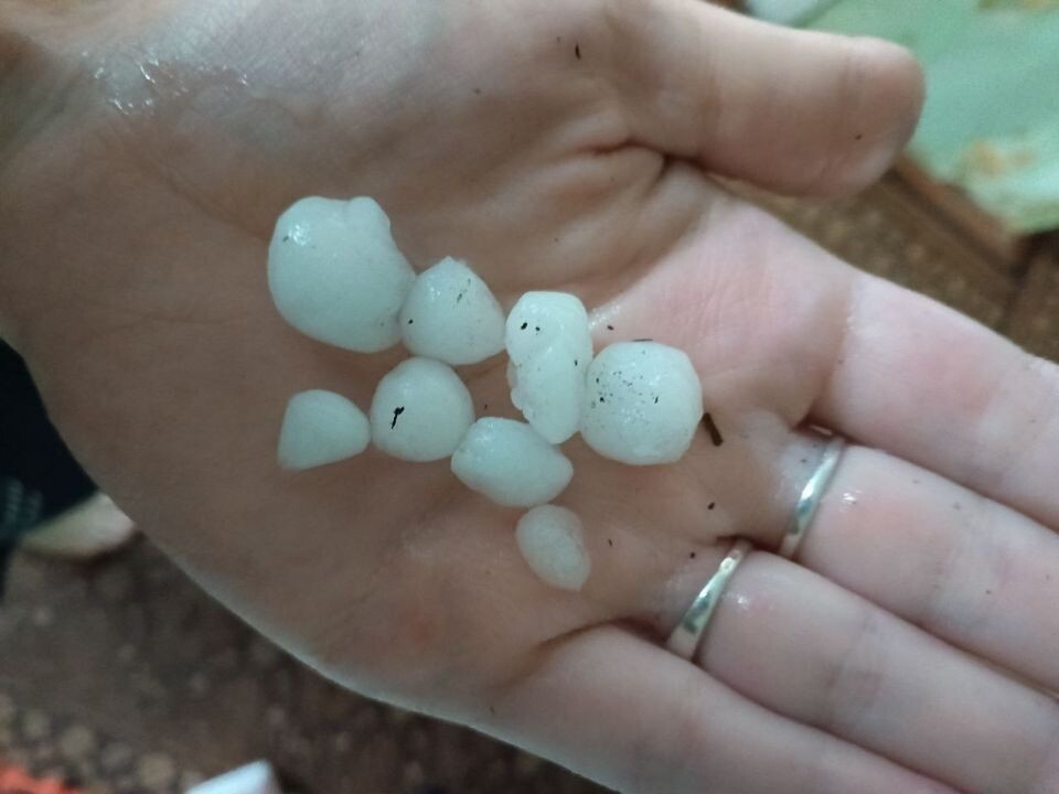    Майский град в Павловском районе. Источник: t.me/brn22official