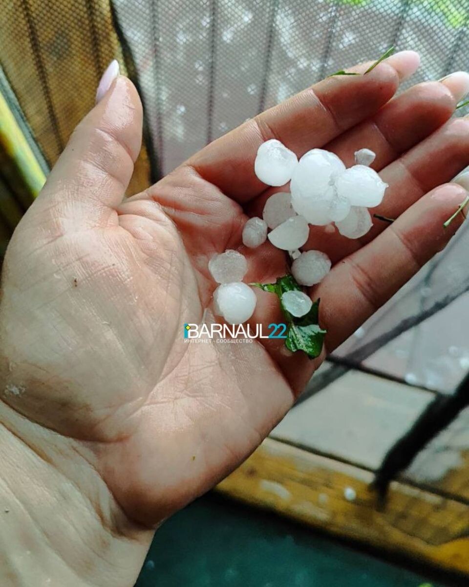    Майский град в Бельмесево. Источник: t.me/brn22official