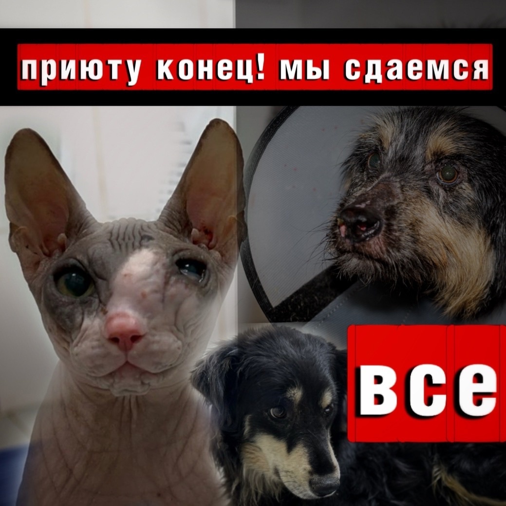 Не удается ДОСТУЧАТСЯ-ДОПИСАТЬСЯ до подписчиков канала.