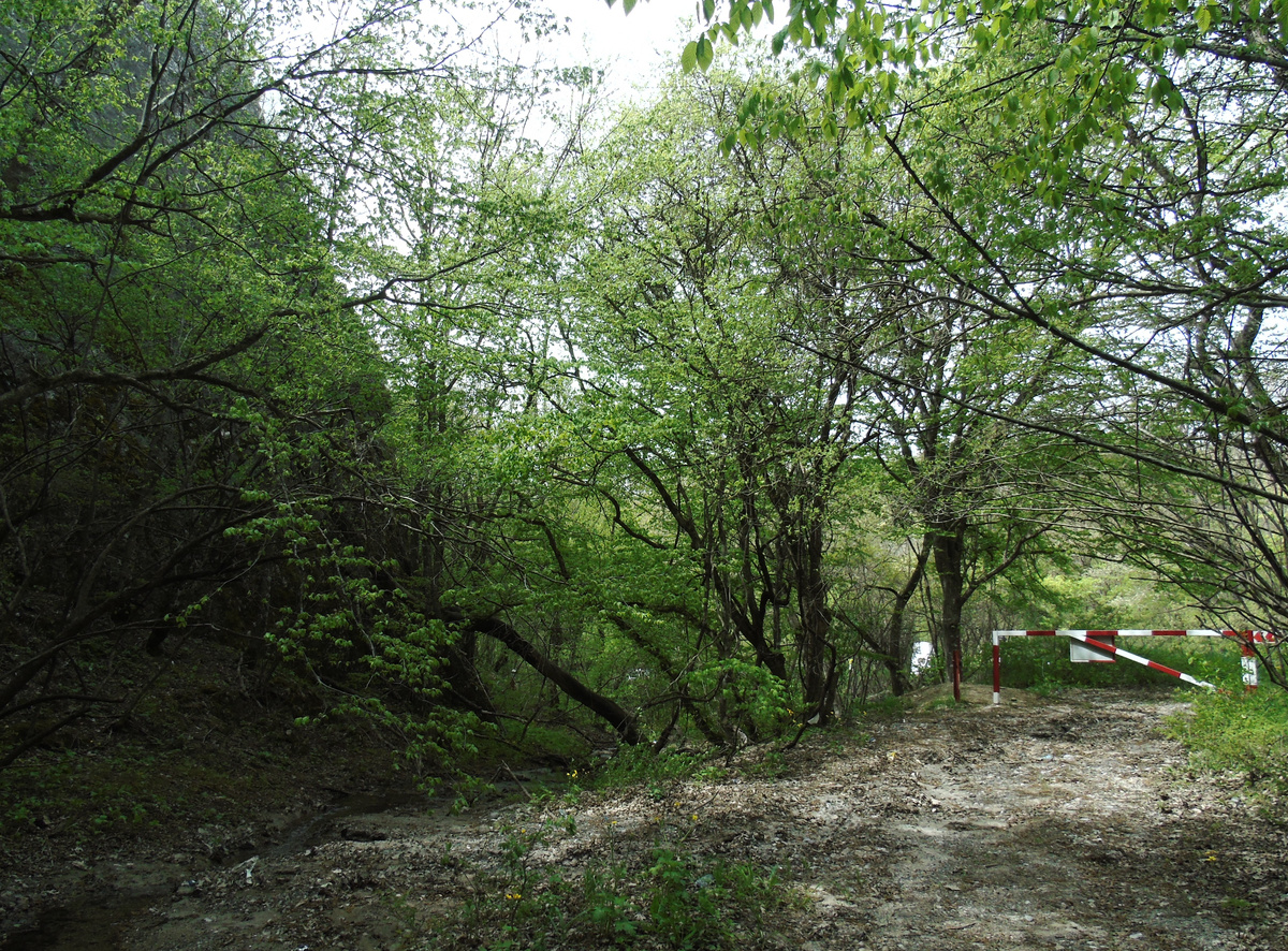 Место начала нашего похода