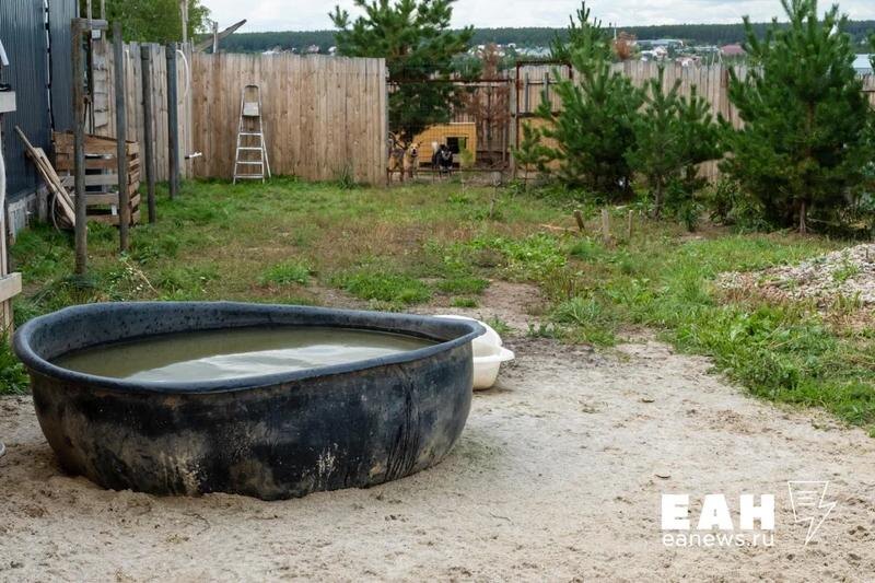    ЕАН / Архивное фото