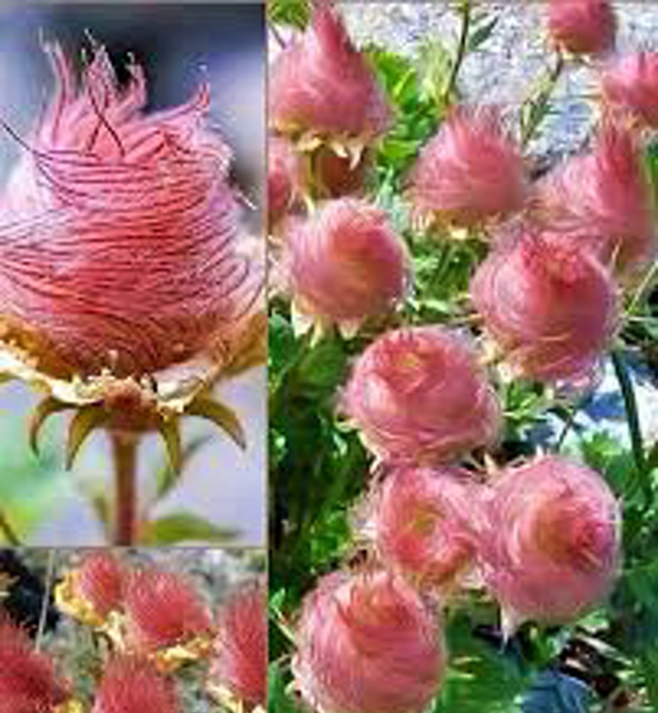 Фото из активного источника