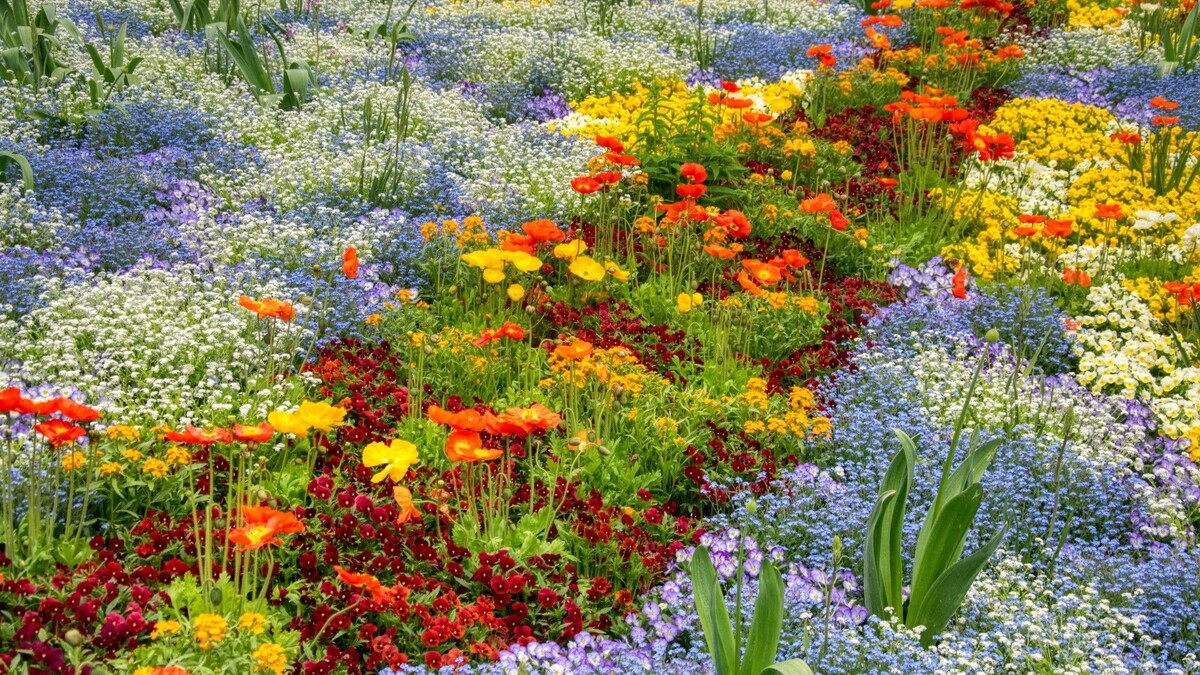 Клумбы бывают большие