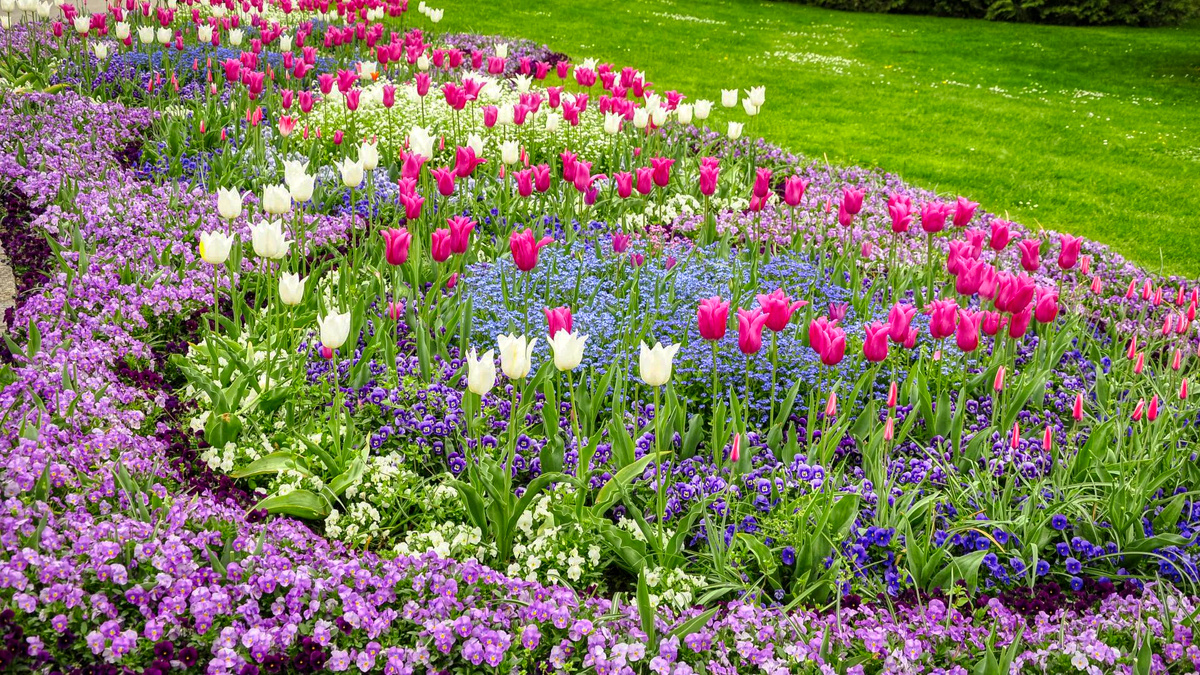 Клумбы бывают большие