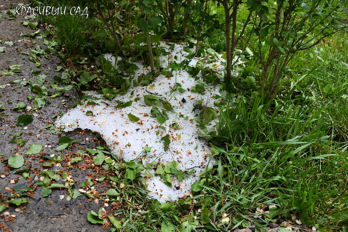 Это не снег, а то, что осталось от кучи градин к утру