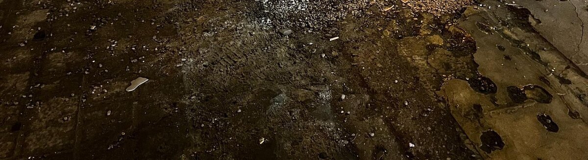    Фото: Анна Григор