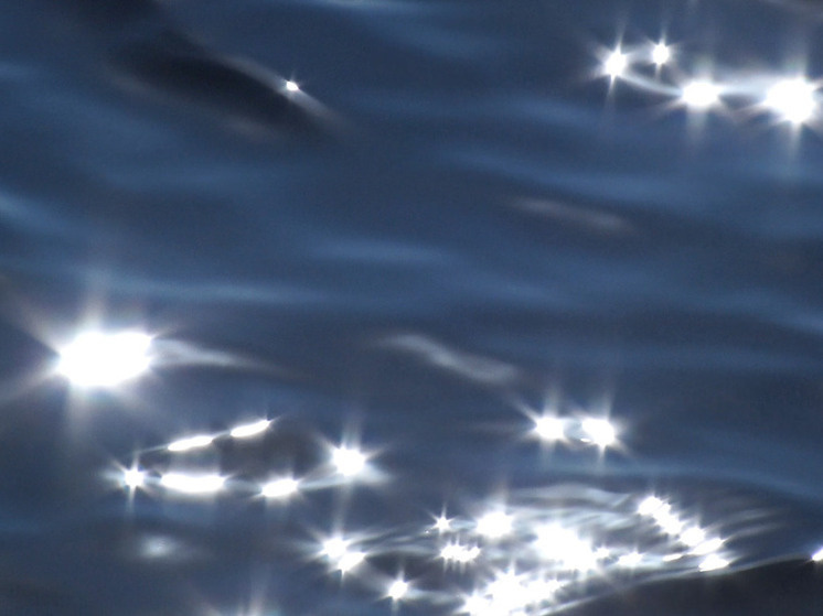     Фото: «МК в Ленобласти»/Надежда Гусарова.