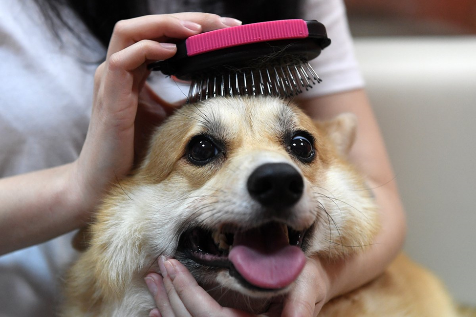 Приятно и полезно