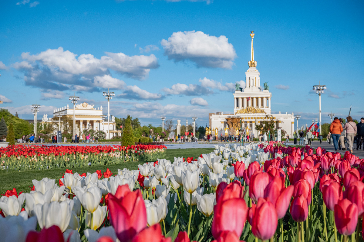 Сейчас тут весна - всё цветёт. Если ещё не были на ВДНХ - самое время сходить! :) Фото: блог "Печеньки в рюкзаке"