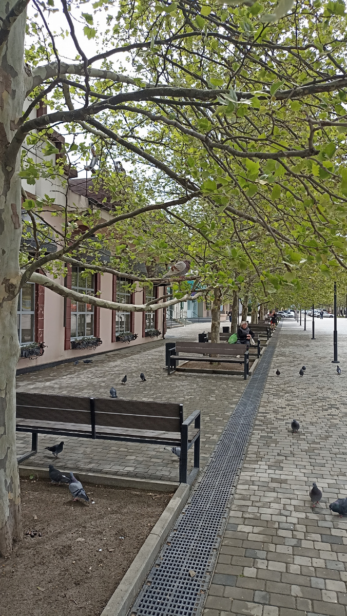 Это не Париж, это центр города Крымска, кажется так и называется "Французский квартал" или что-то в этом роде. Там еще много армянских ресторанчиков, но пока тихо и туристов нет. Фото автора.