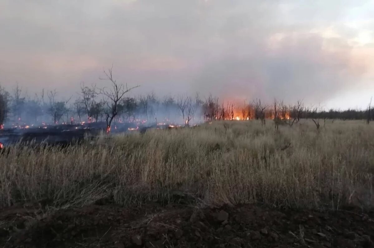    На Дону объявили высокую пожароопасность 9 и 10 мая