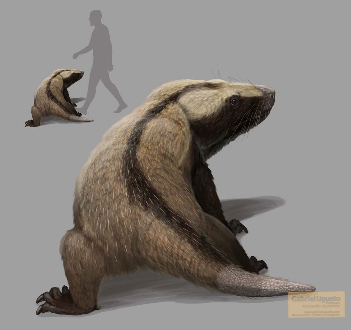 Импиденс от Габриэля Угуэто. Арт (посередине) и сравнение размеров с человеком (в верхнем левом углу).