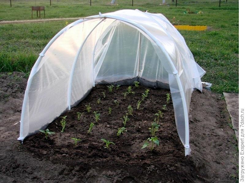 Парник. Фото с сайта 7dach.ru