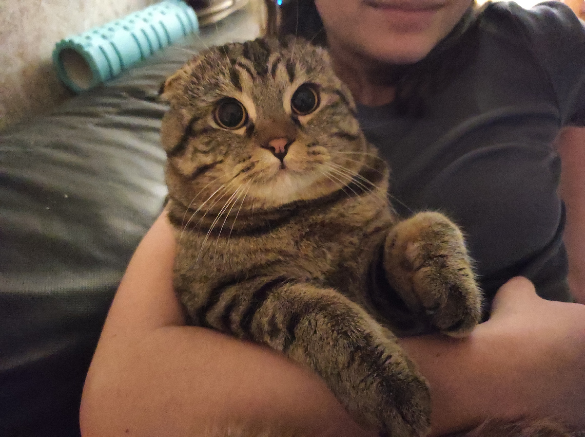 А ещё за его глаза 🥰