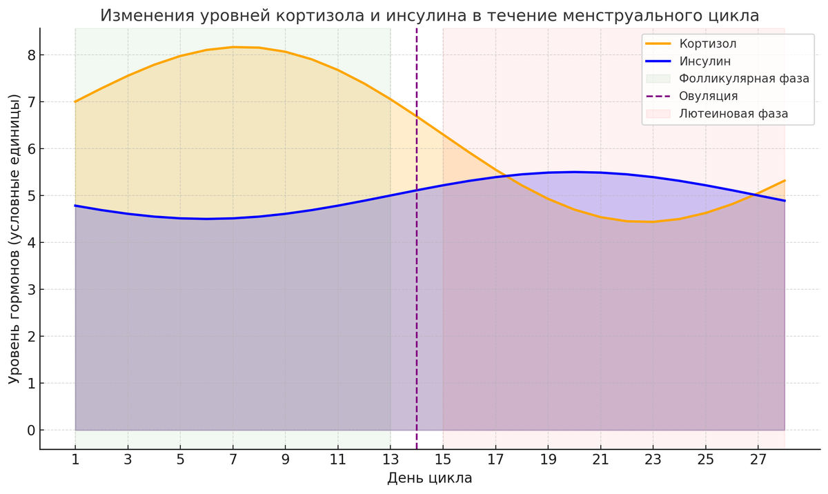 Повышение кортизола во время фолликулярной фазы усиливает тревожность, влияет на аппетит и способствует отложению жира, особенно в области живота. А изменение чувствительности к инсулину во второй половине цикла объясняет, почему именно в этот период так тянет на сладкое и сложнее контролировать вес. Если ты чувствуешь, что «ломает» — это не в голове. Это гормоны.