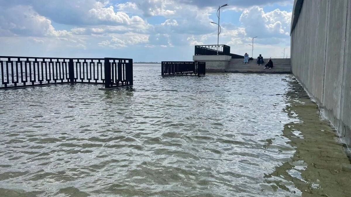     Источник: novostivolgograda.ru