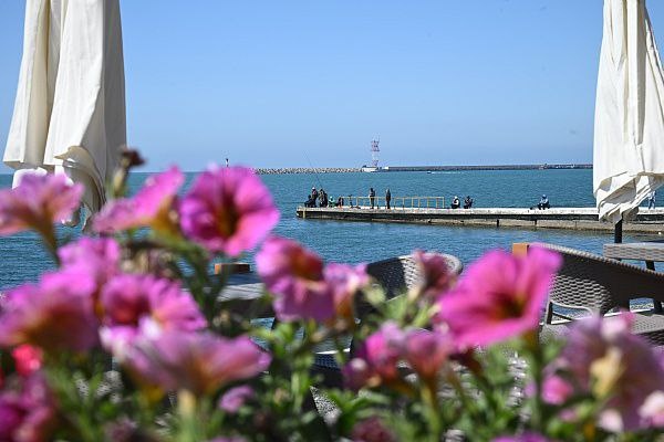    администрация Сочи