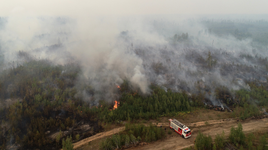    Фото: ИЗВЕСТИЯ/Кристина Кормилицына; 5-tv.ru