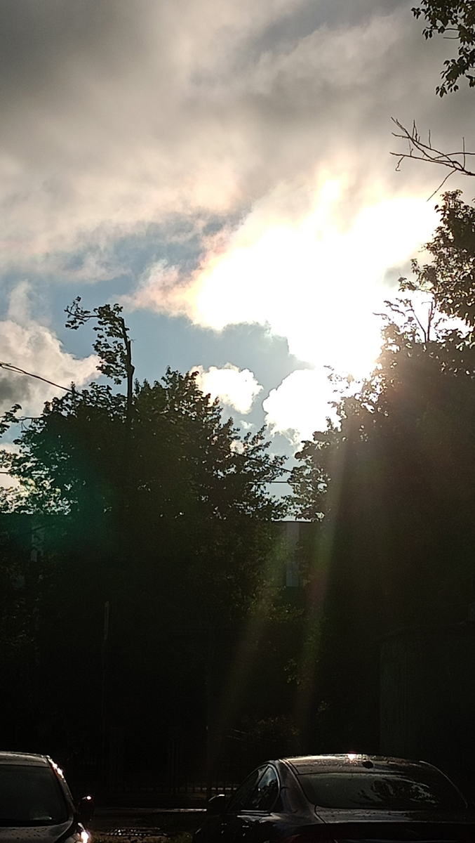 Фото автора.