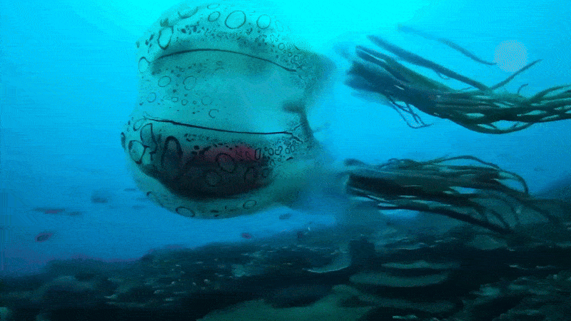 Нравится Формат? Поддержи Канал Лайком и напиши какой эпизод понравился больше всех
