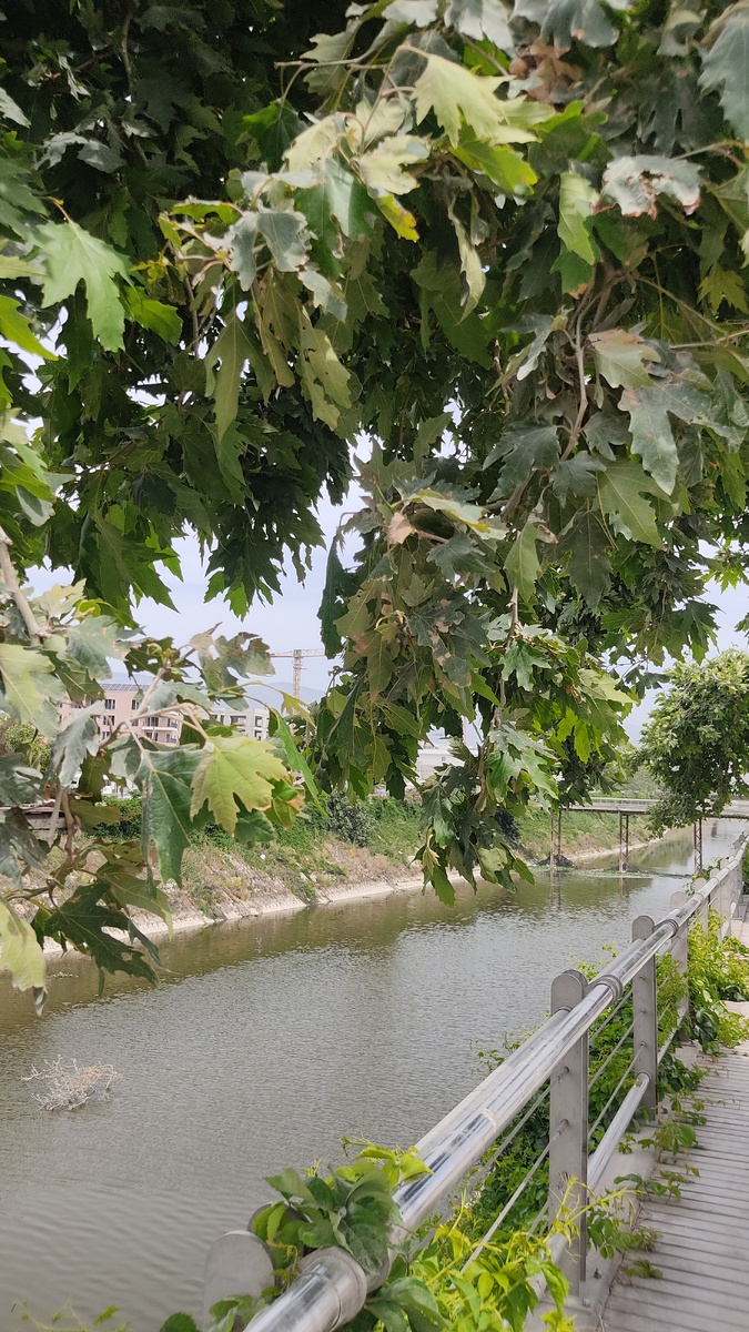 Река Аси сегодня.