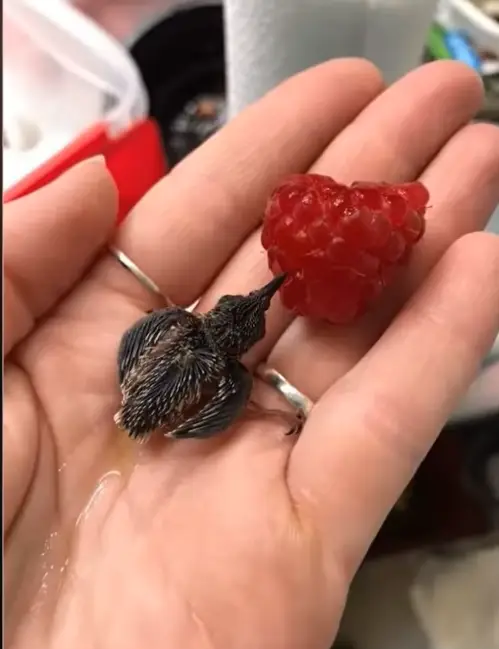 ����: rottingpotatoes / Reddit 