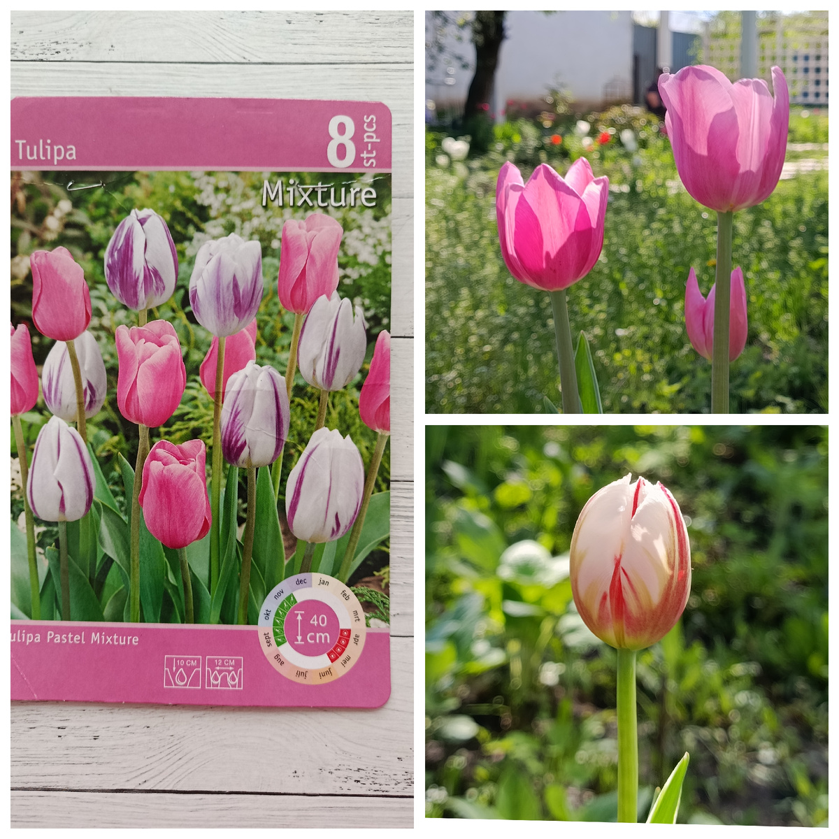 Коллаж автора