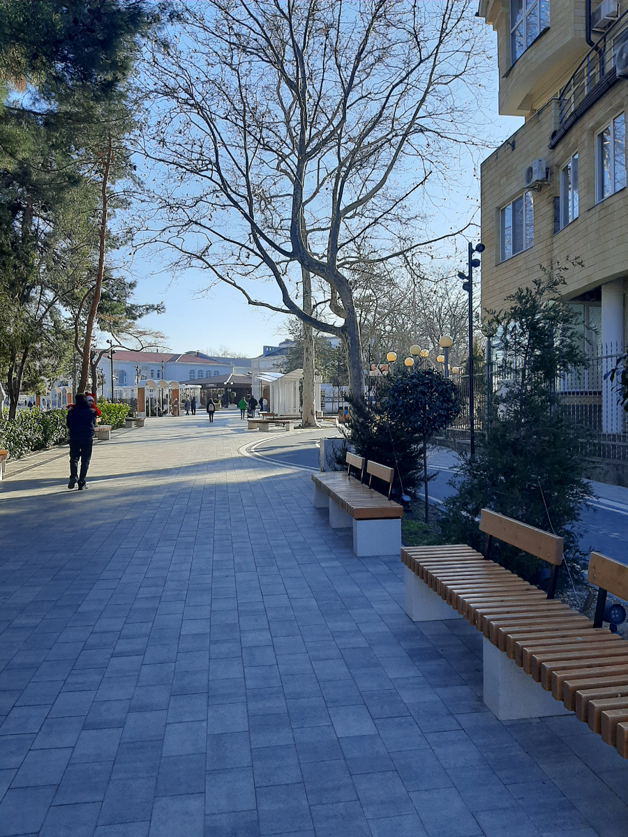 Фото из архива автора, зима 2025 года