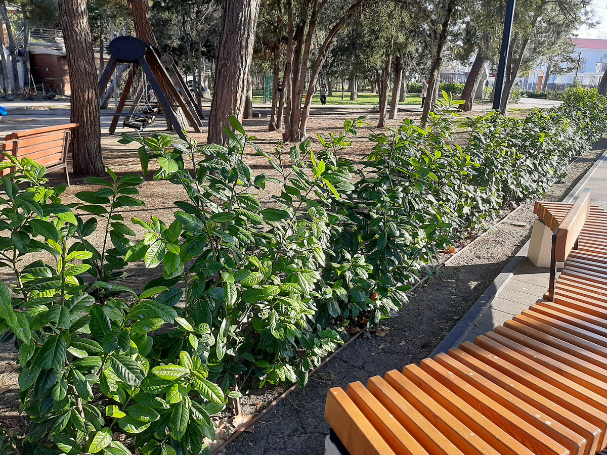 Фото из архива автора, зима 2025 года. Вот тогда солнце было....