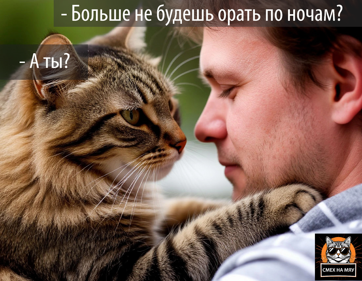 Хозяин: "Барсик! Иди сюда, я тебя поглажу!"                                                                                      Кот: "О, я занят, проверю график... Запишись на осень..." 