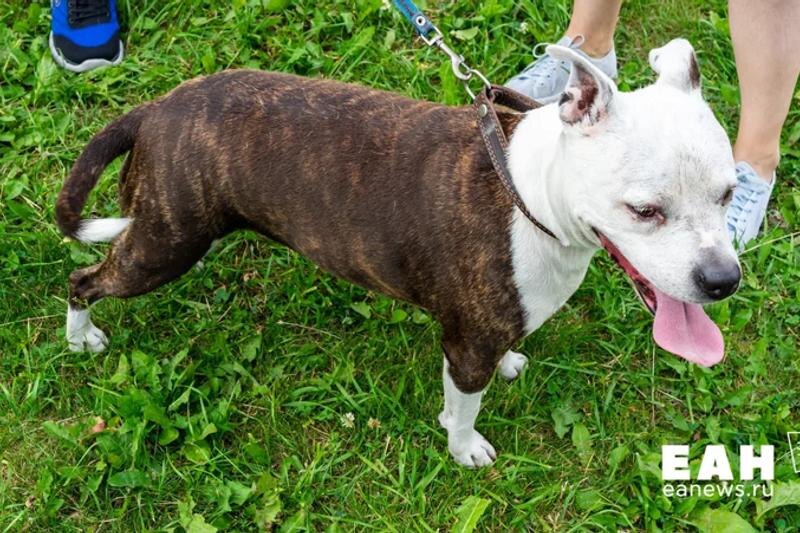    ЕАН / Архивное фото