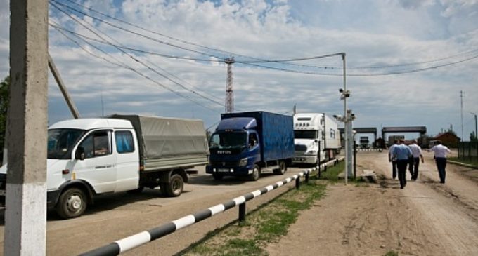 В Оренбуржье задержали более 3000 пчелопакетов с «узбечками»