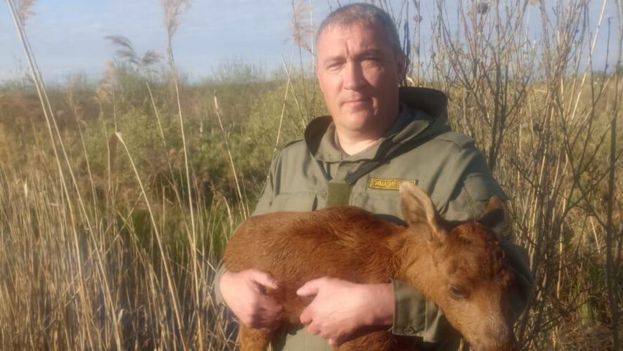    Фото: Госкомитет РТ по биоресурсам