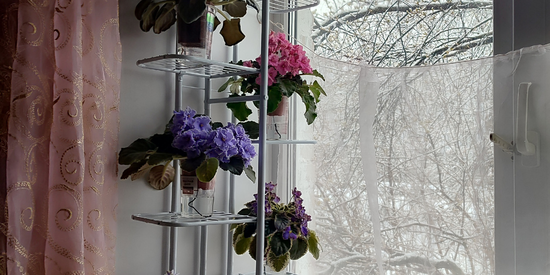 Обзор красивых и удобных полок под цветы, которые я нашла на маркетплейсах